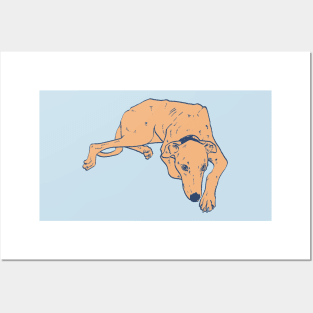 Orange lurcher dog Posters and Art